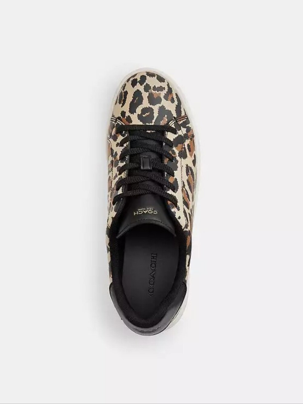 New! Coach High Line Spean With Leopard Print 🐆#CCV98 - Picture 4 of 8